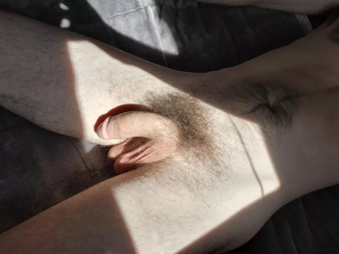 love the afternoon sun in my room 😋