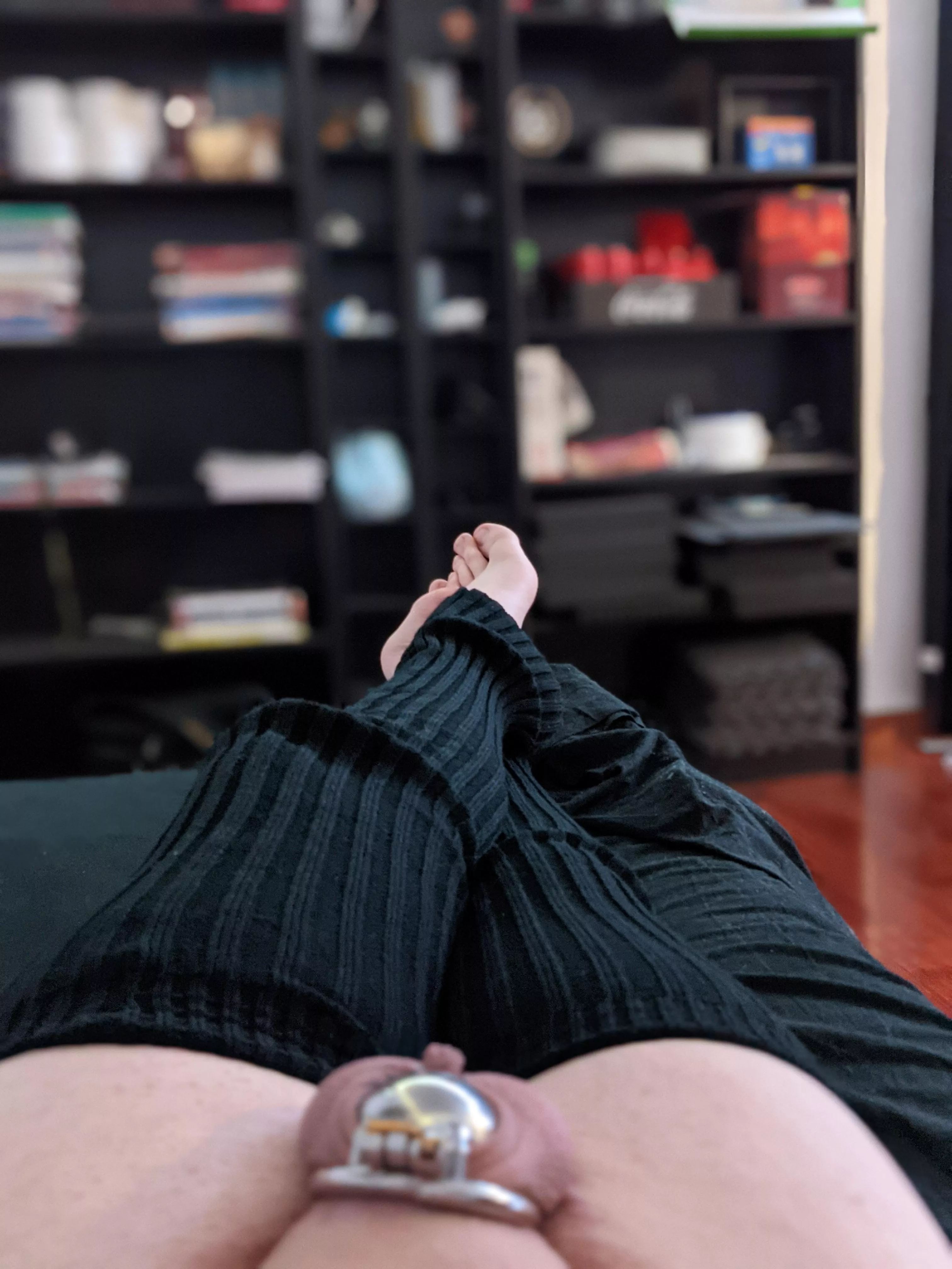 love this cage 😇