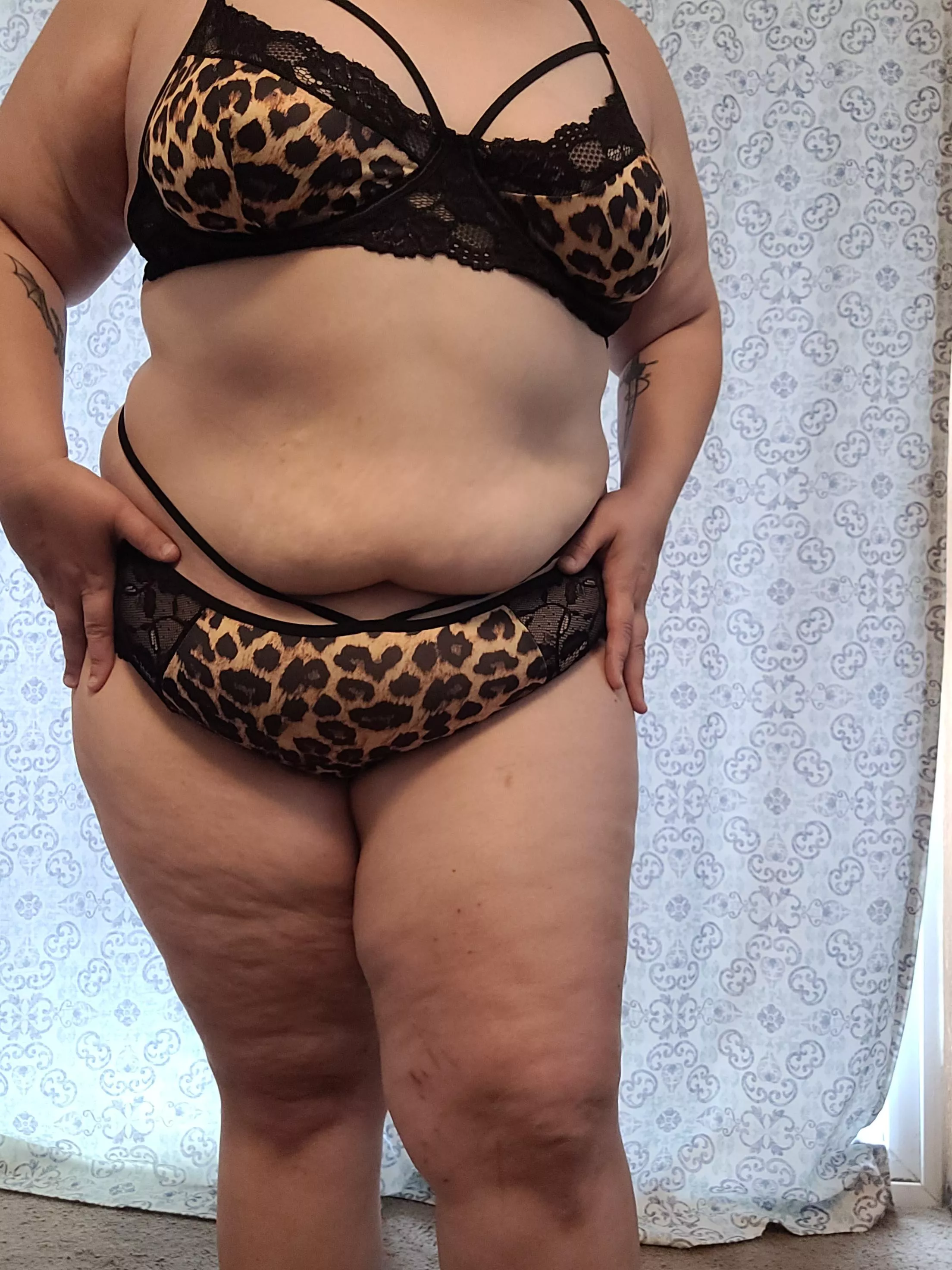 luscious curves