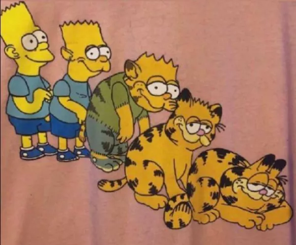 M (Bart) -> M cat (Garfield)