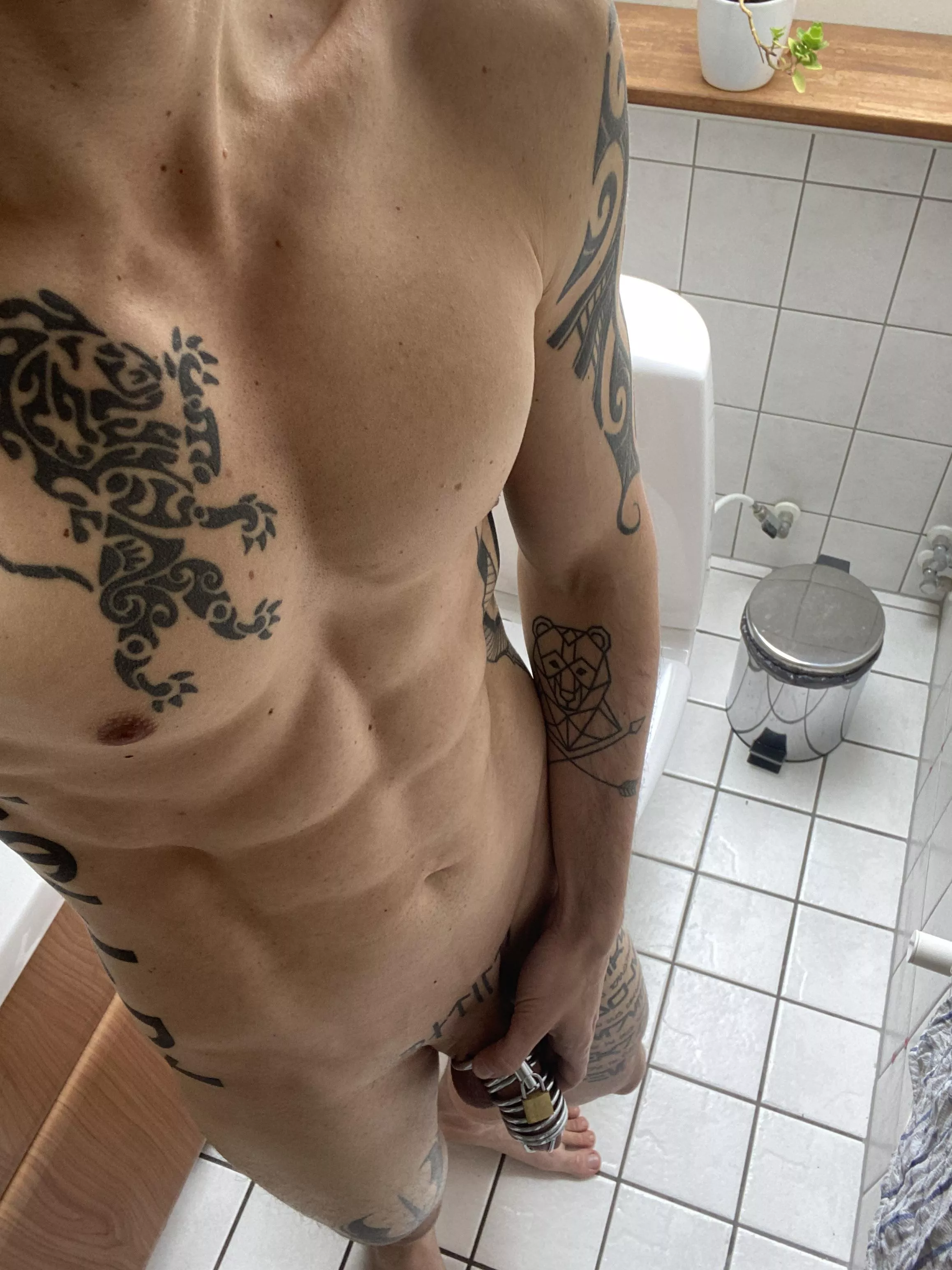 [m] chastity