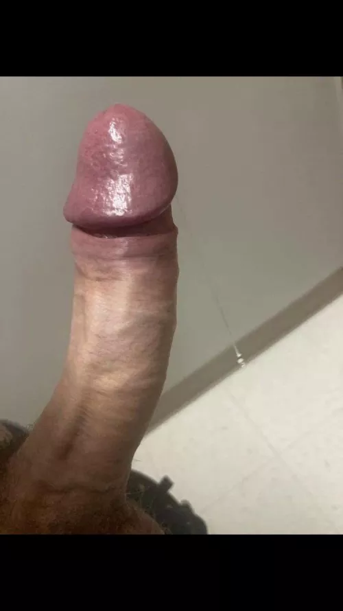 (M) Edmonton cock