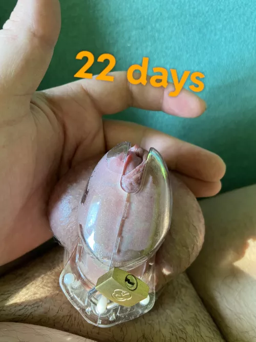 [M20] I'm a virgin. my balls are full. my neighbor found out I was locking now guarding my keys. some advice?