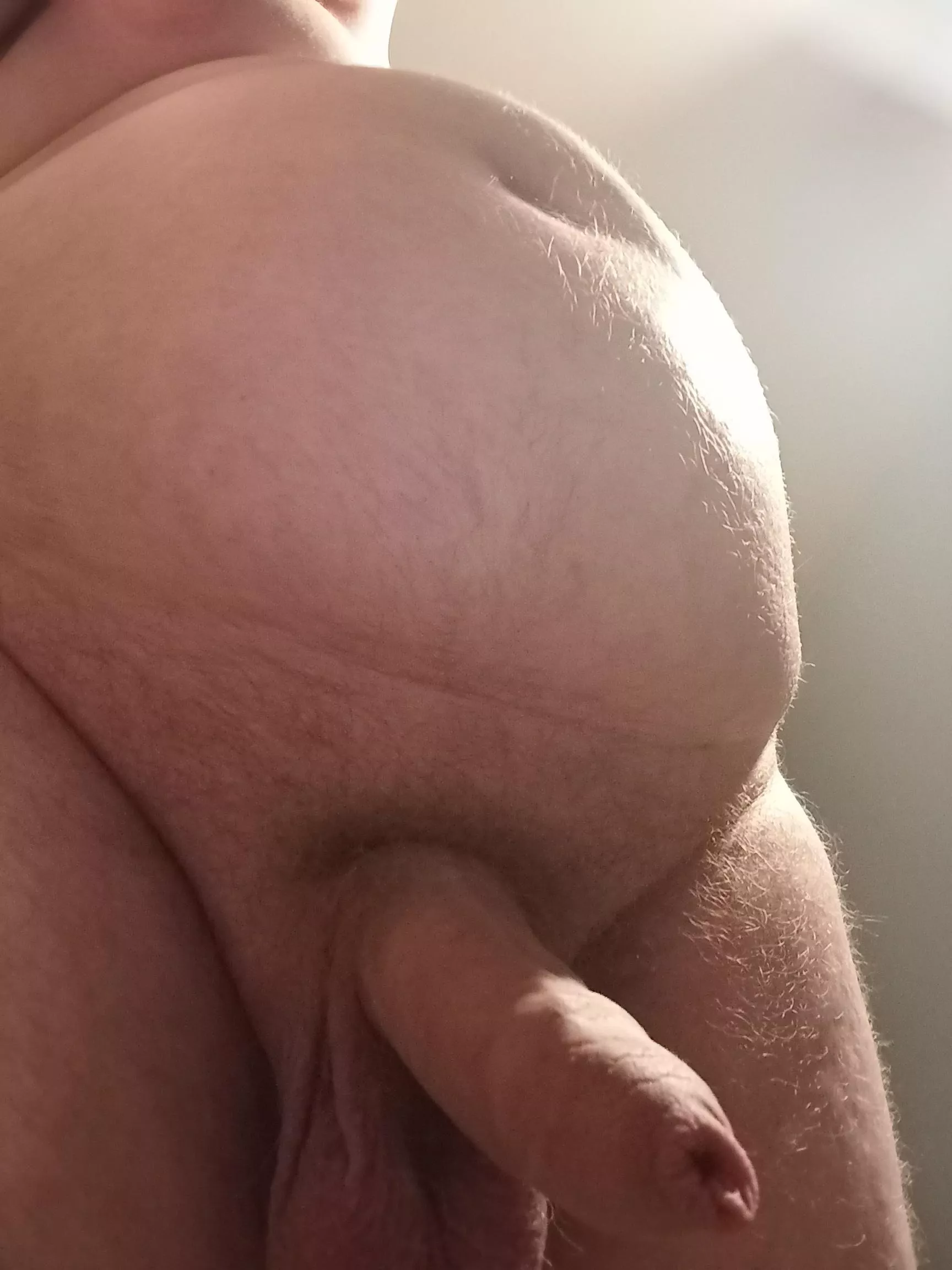 M24 - 344 lbs