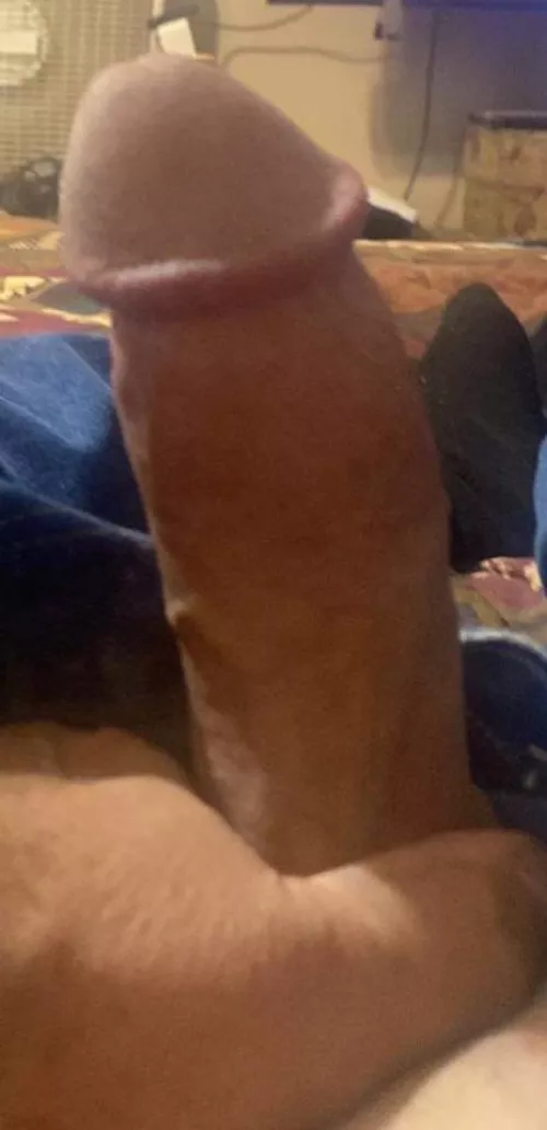 M50F45 looking for a female to play with him in the San Antonio Texas area DM us if interested. We will host