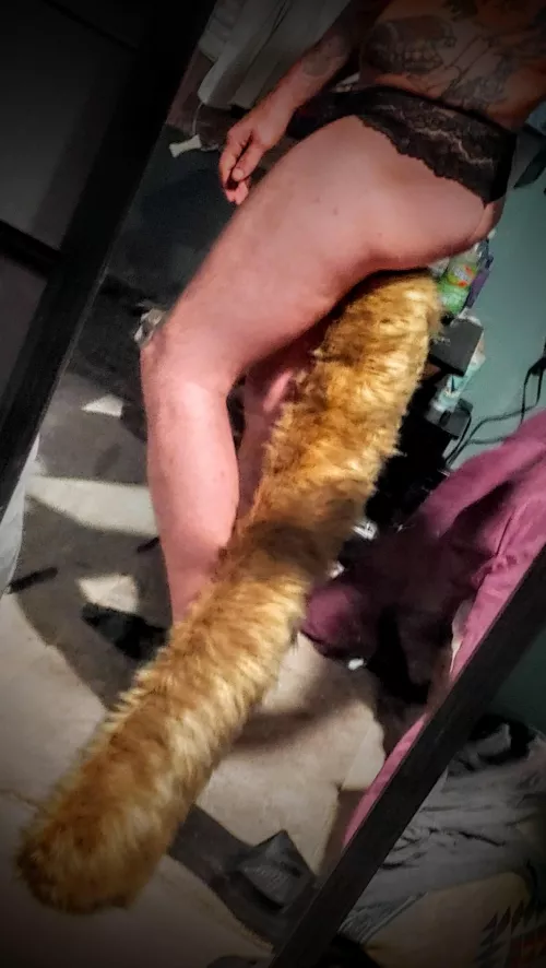 made my first floor dragger 🦊💯😍