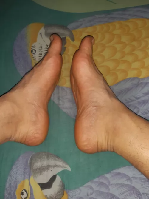 may I could use your face as a foot rest