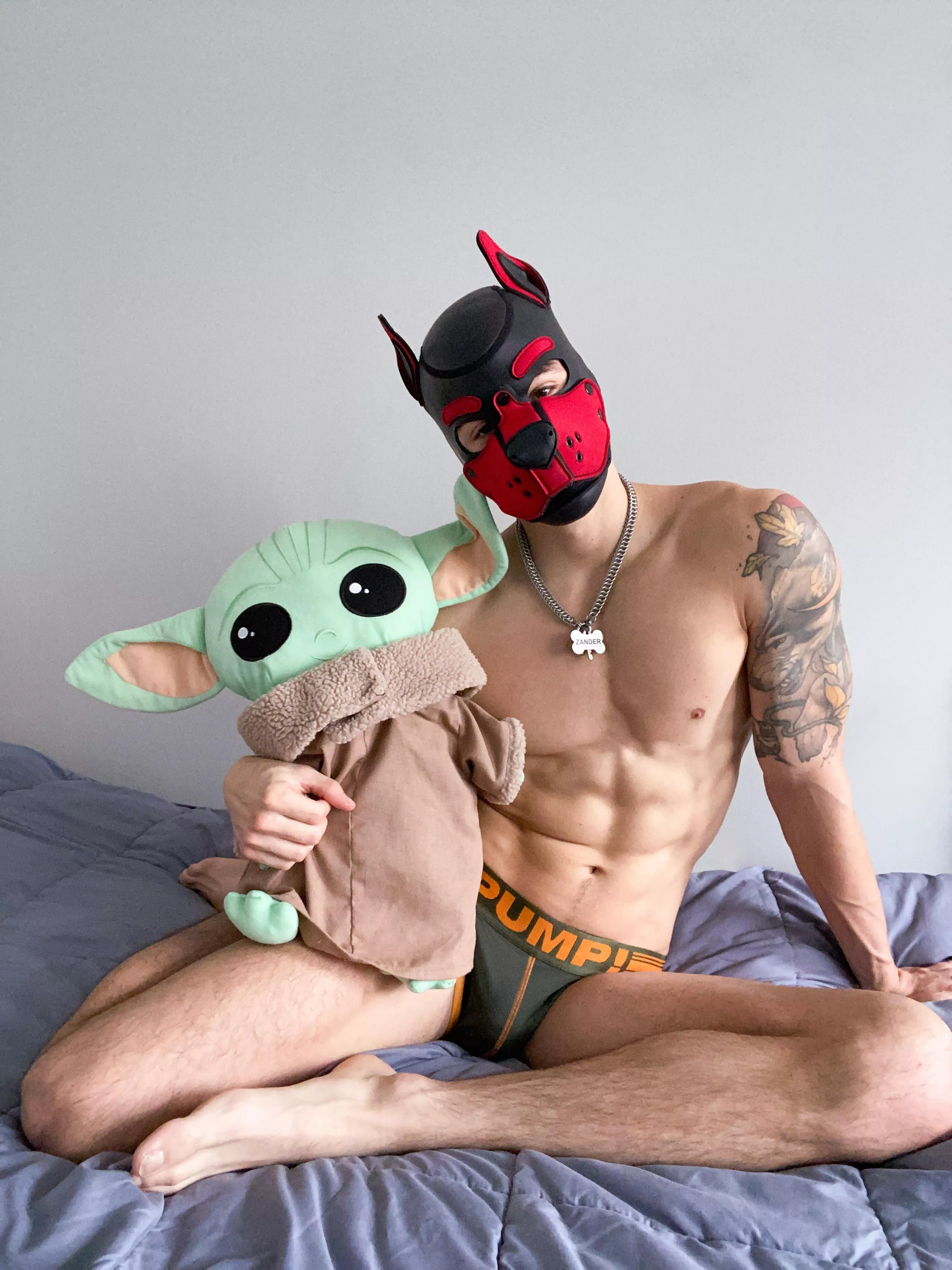 May the 4th be with Awroo 🐾