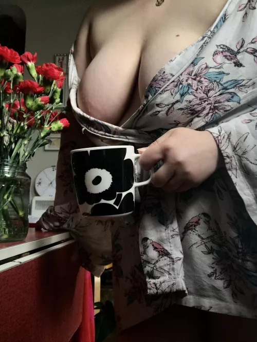 May your Monday be as beautiful as my carnations 🌺 are!