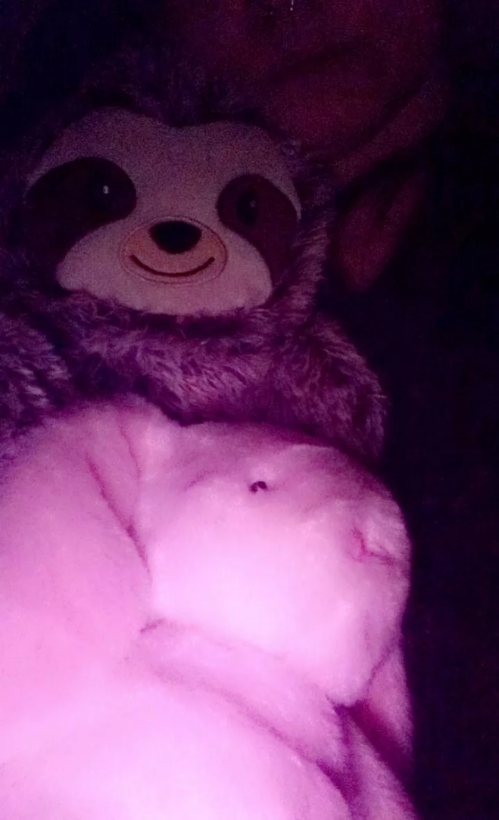 Me again. Reunited with Mr Flops and snuggled up to my sloth hot water bottle, getting cosy π₯° anyone want to read me a bedtime story? Me again. Reunited with Mr Flops and snuggled up to my sloth hot water bottle, getting cosy π₯° anyone want to read me a bedtime story?