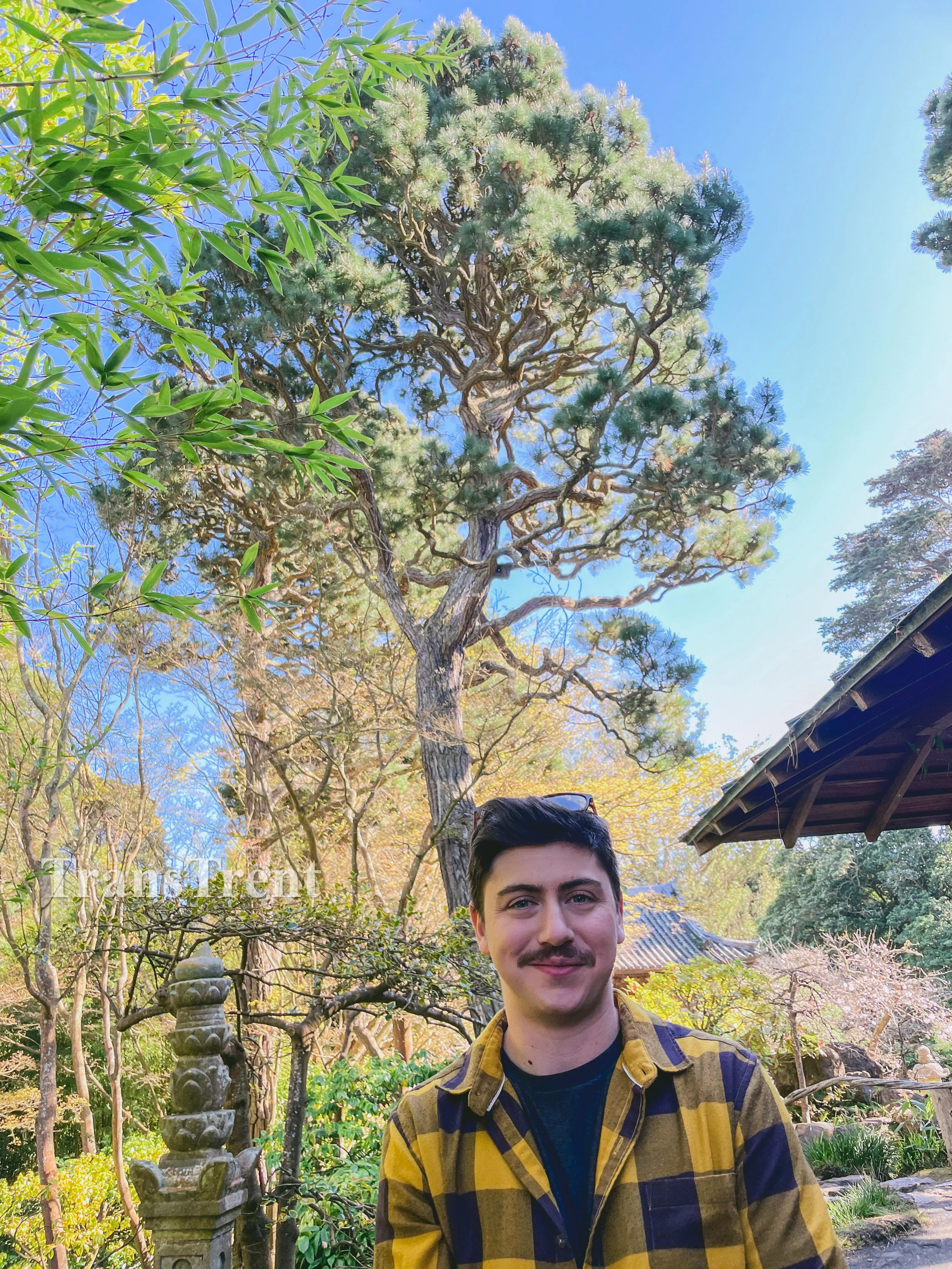 Me and a cool tree