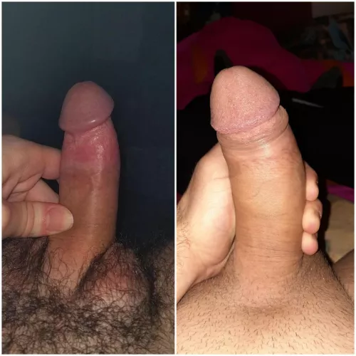 me and byecuriousdog and we think we are similar. Which one prefer?