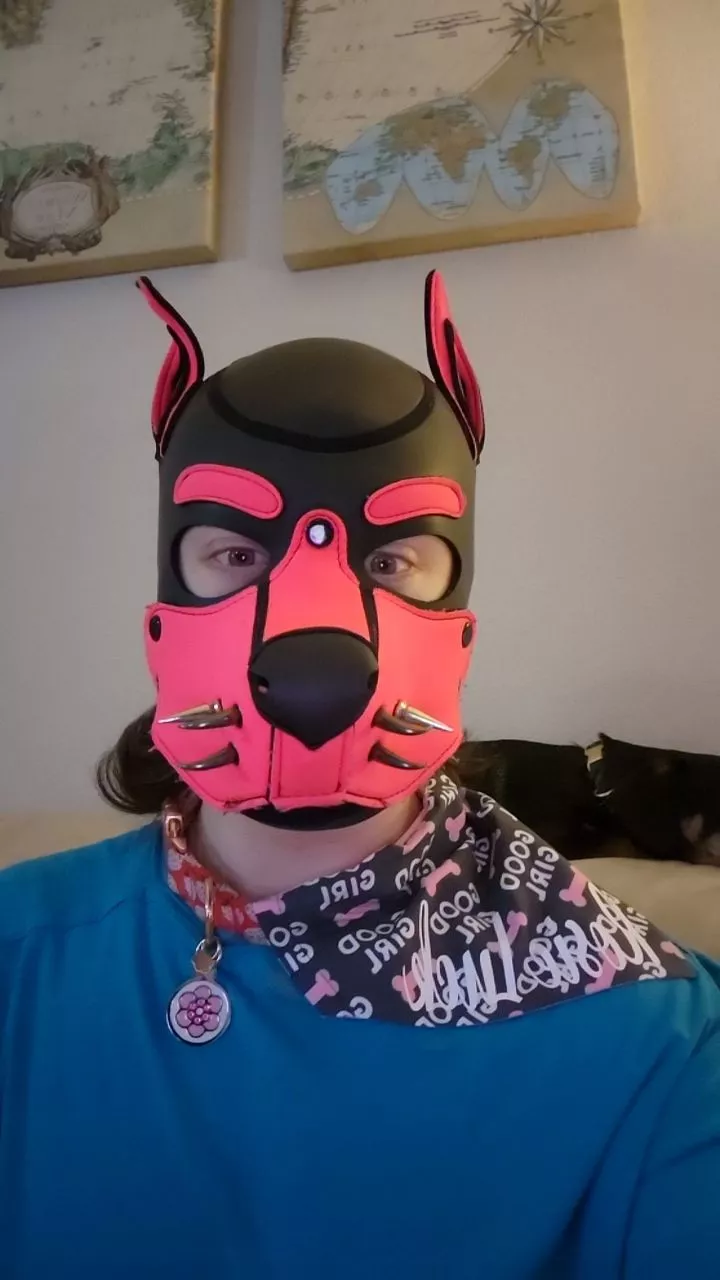 me being puppers