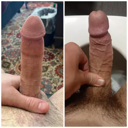 Me vs Technical-Dot409, which one is better left or right ?