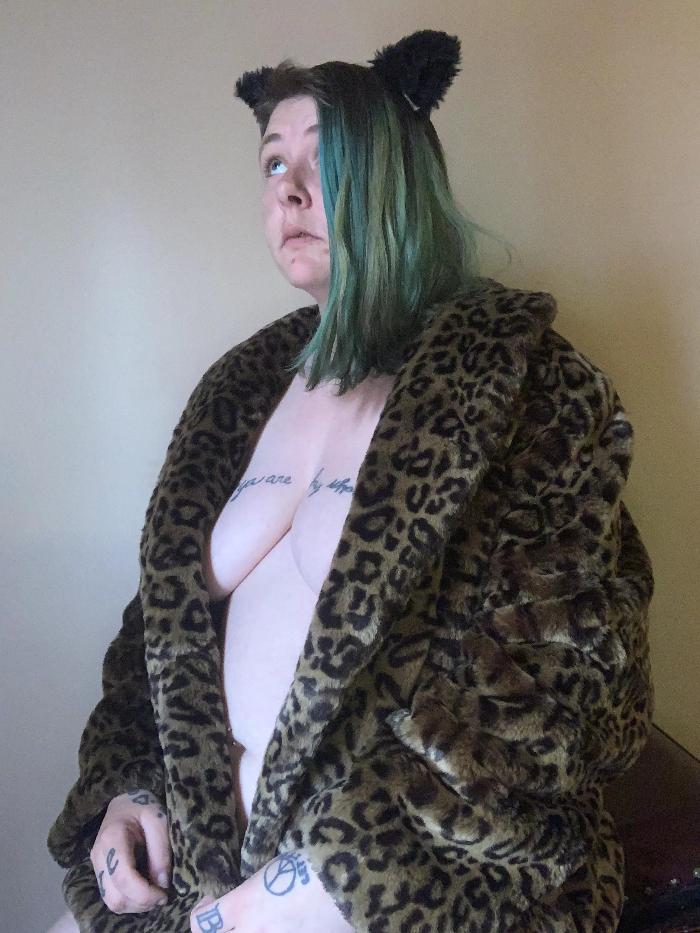 Meow I’m a cat