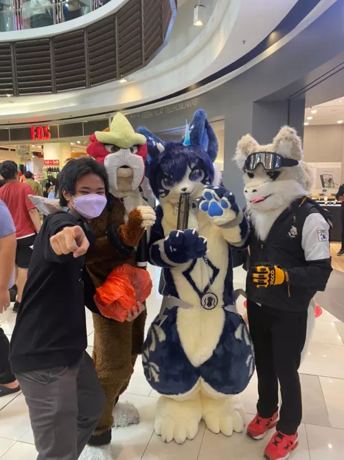 Met a group of furries at my local anime convention, they were so kind and calm. My first experience with furry and I loved it!