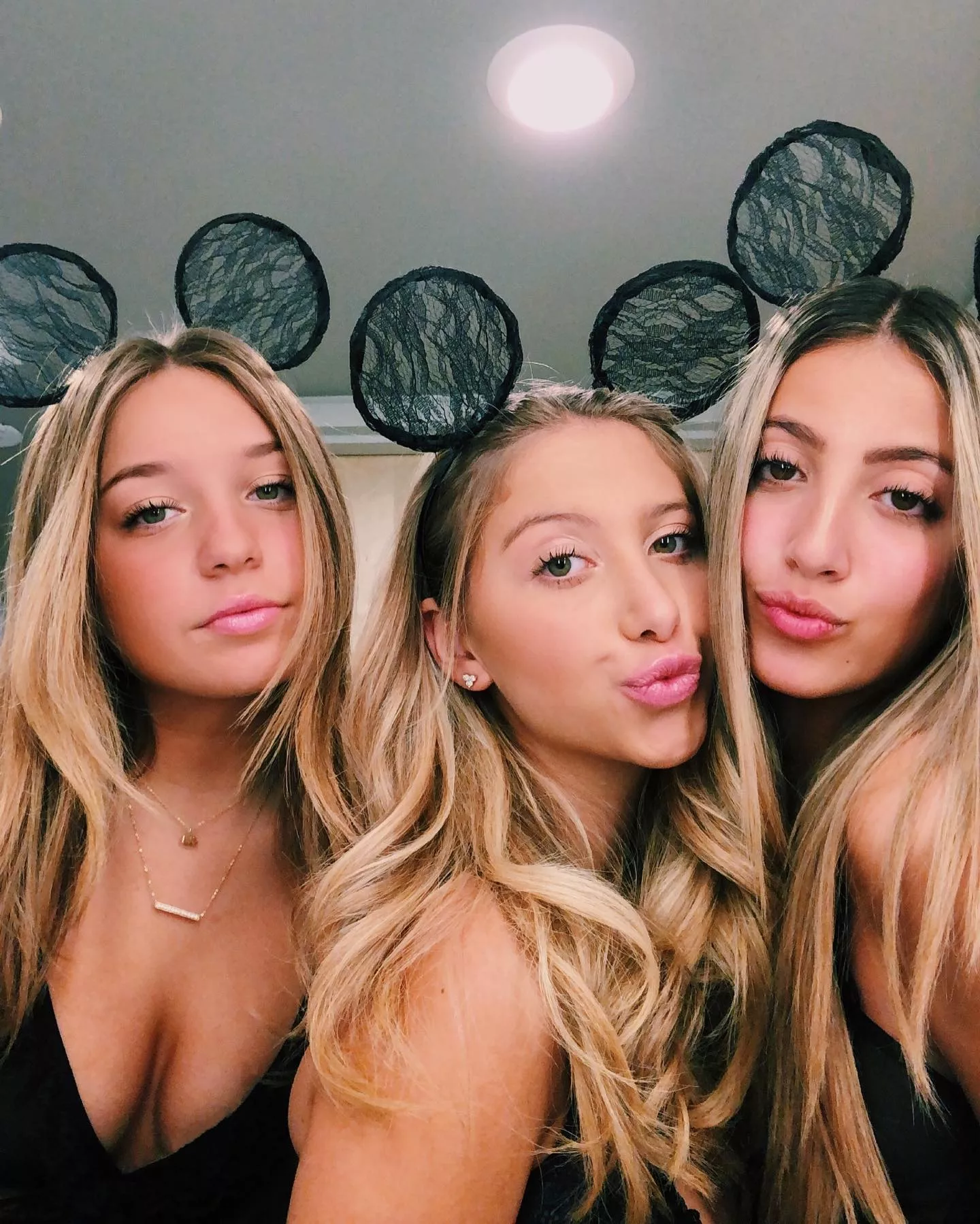 mice