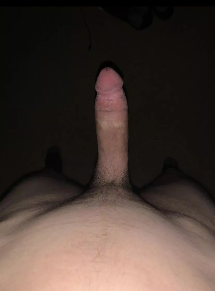 Milkster.360