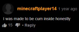 minecraftplayer14