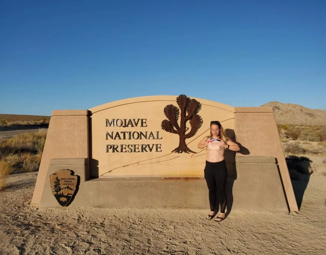 Mojave Flash