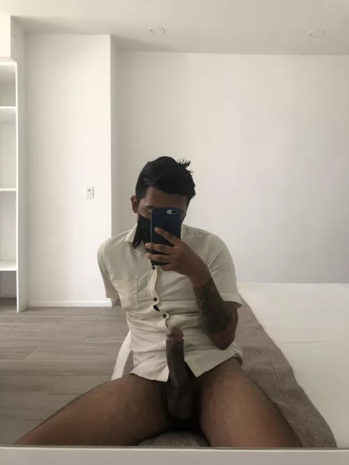 Morning cock at work , from Playa del Carmen 🇲🇽