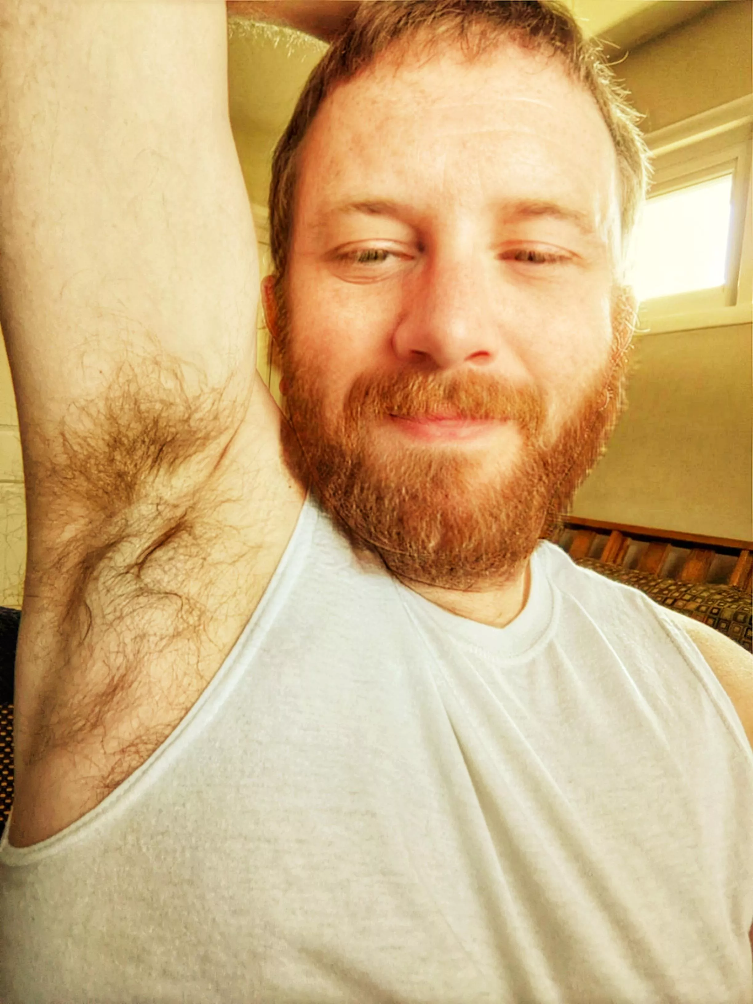 morning sun