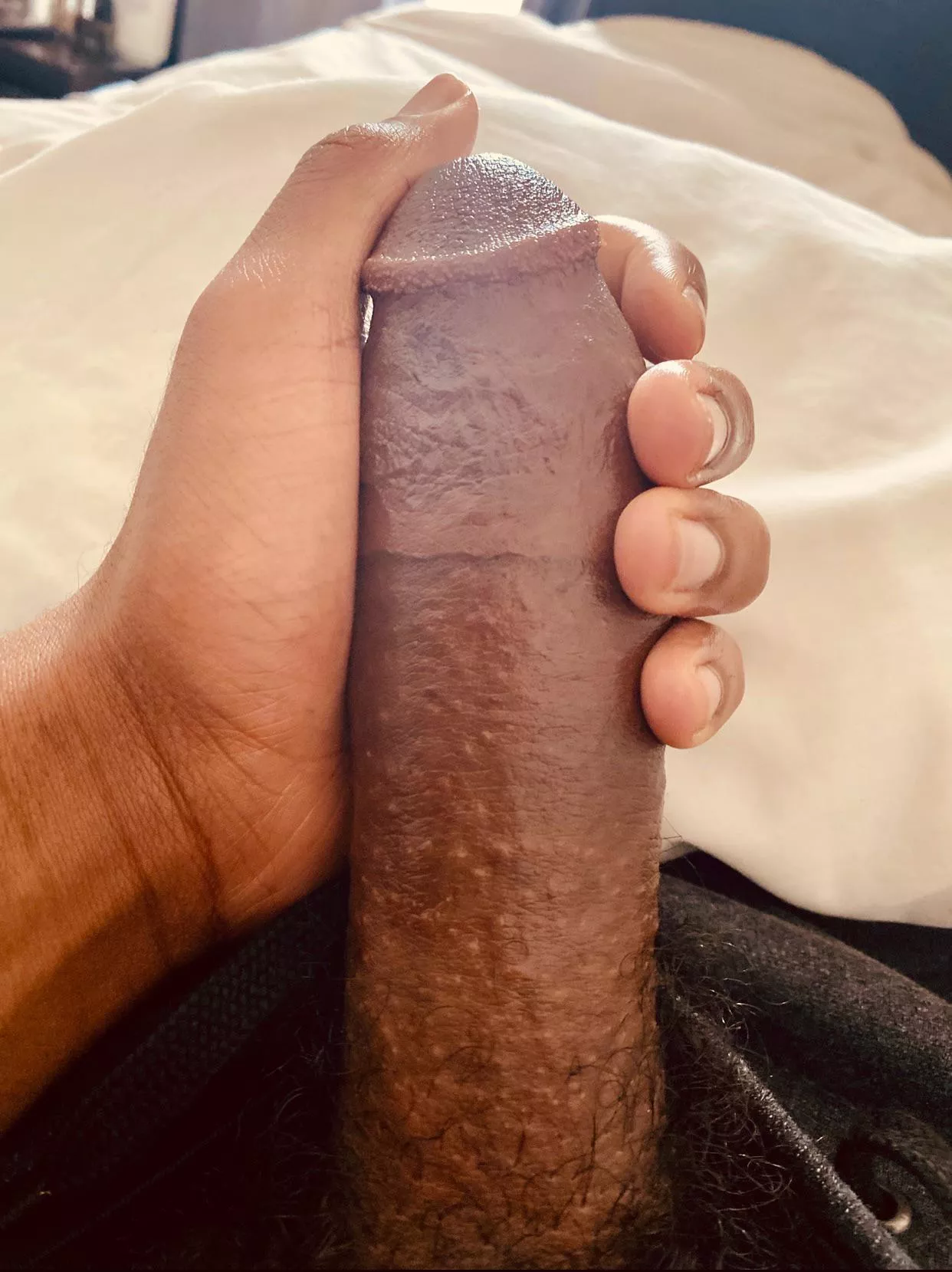 morning sun ⛅️