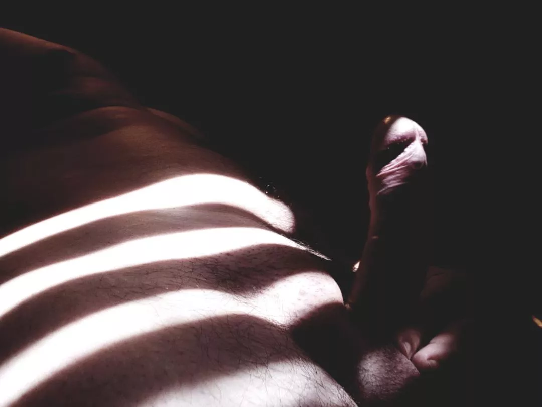 Morning sunlight