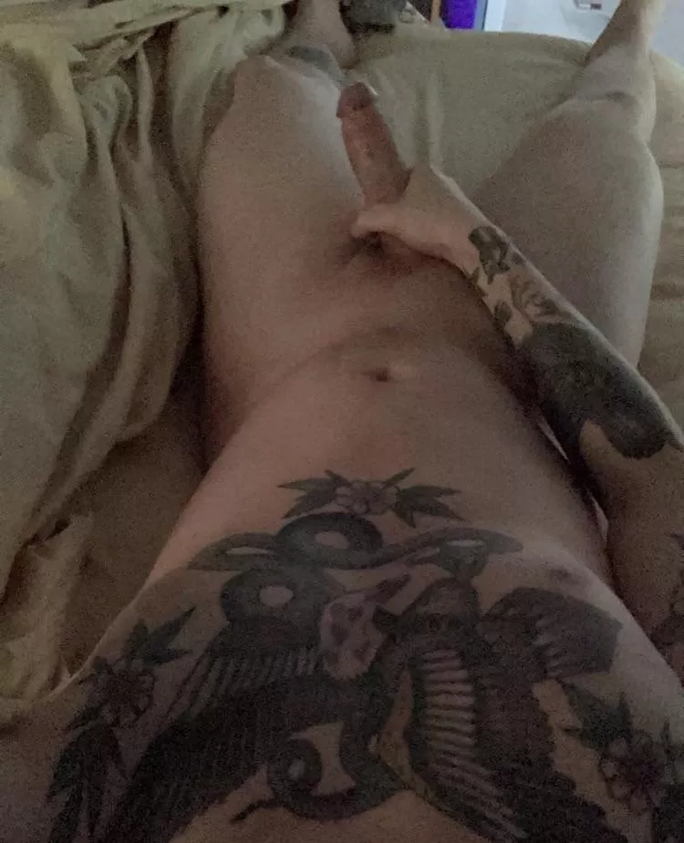 Morning view