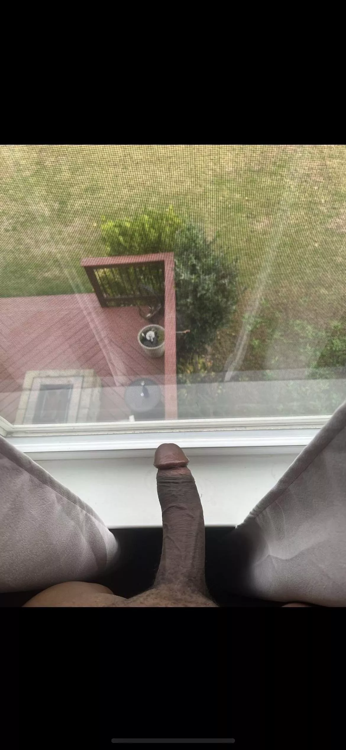 Morning view