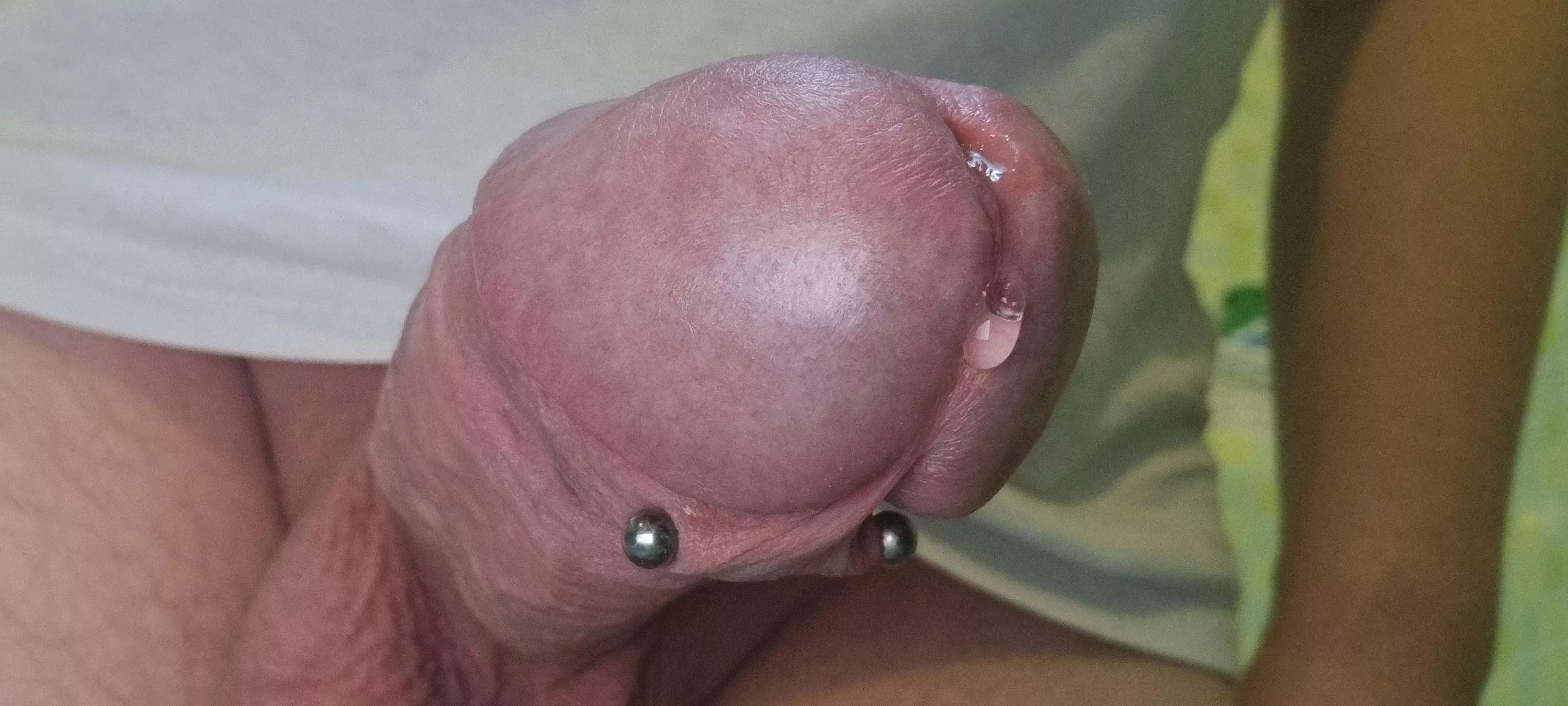 morning wood