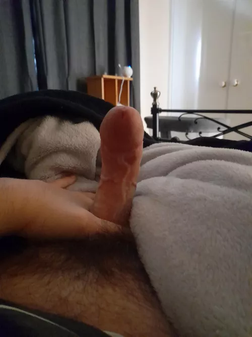 morning wood