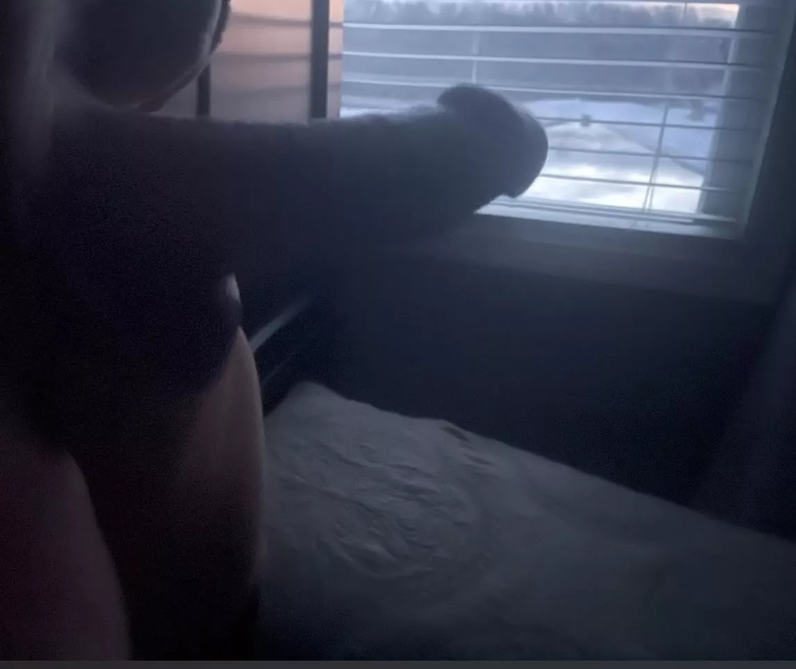 Morning Wood 😉