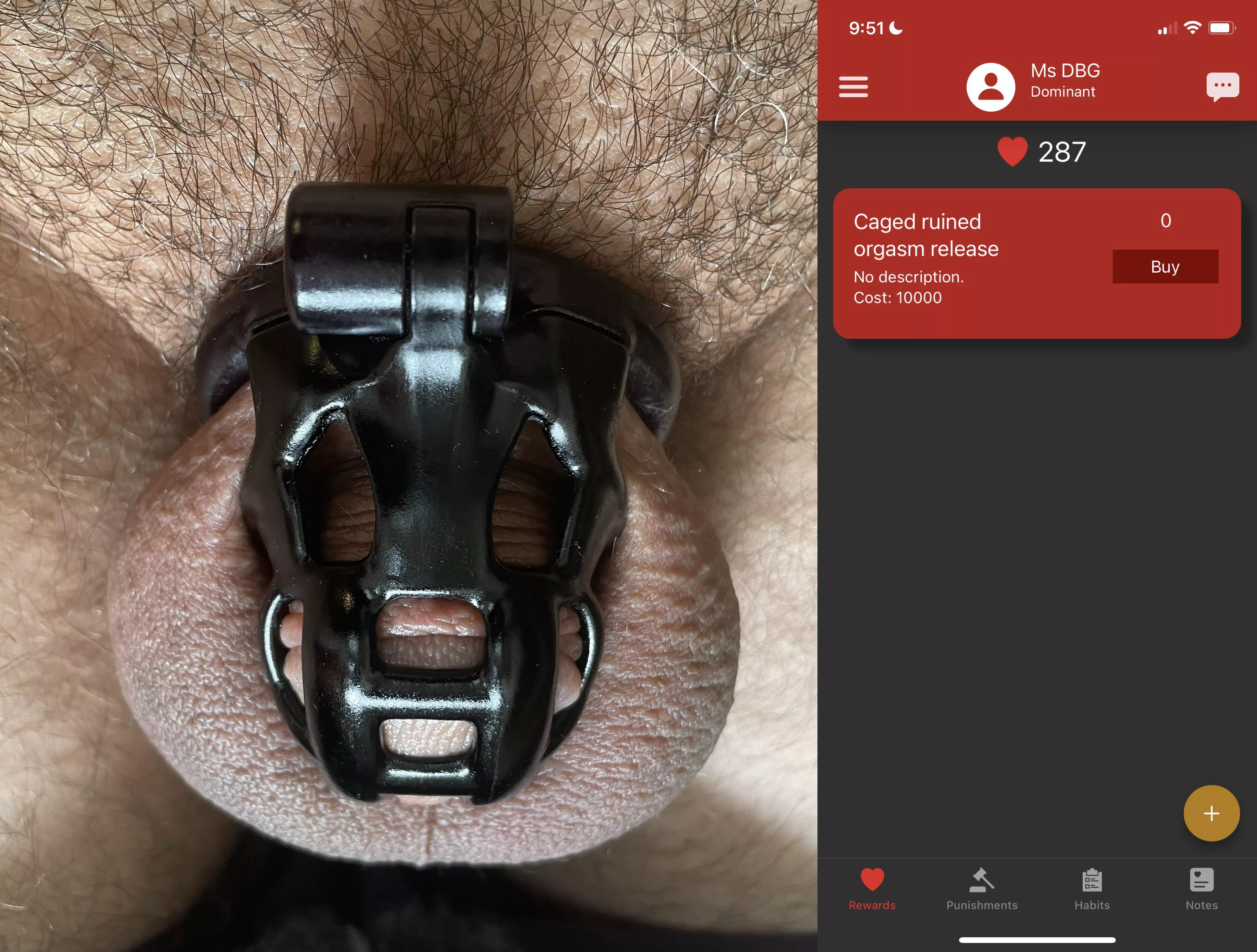 MsDBG8422 has kept her property locked in this cruelly undersized cage, and denied orgasm for over three months. She has me performing tasks in an obedience tracker to collect points. When I reach 10,000 points, I’m permitted to ask for a caged ruined MsDBG8422 has kept her property locked in this cruelly undersized cage, and denied orgasm for over three months. She has me performing tasks in an obedience tracker to collect points. When I reach 10,000 points, I’m permitted to ask for a caged ruined
