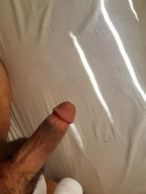 my Arab cut cock