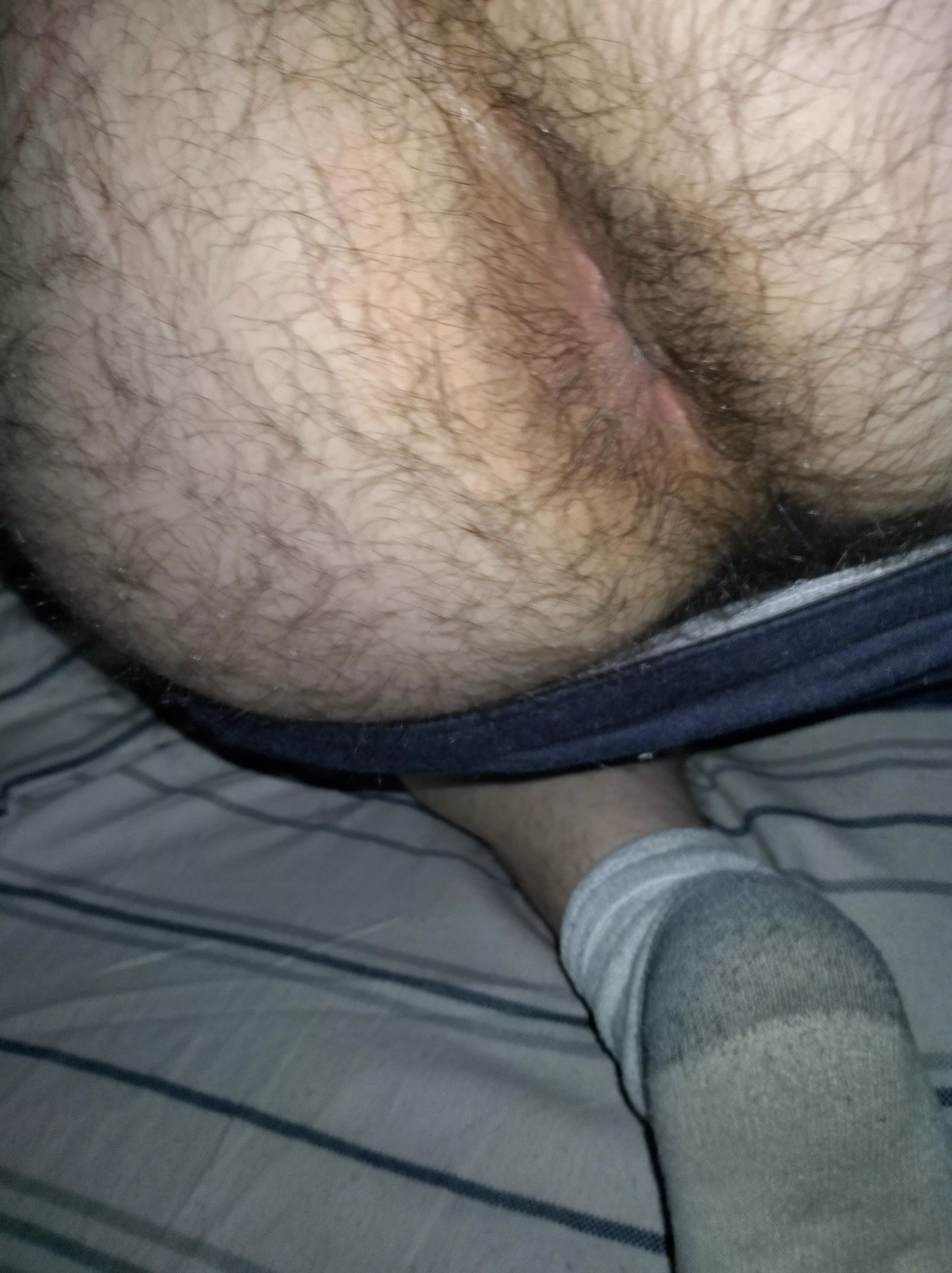 my ass