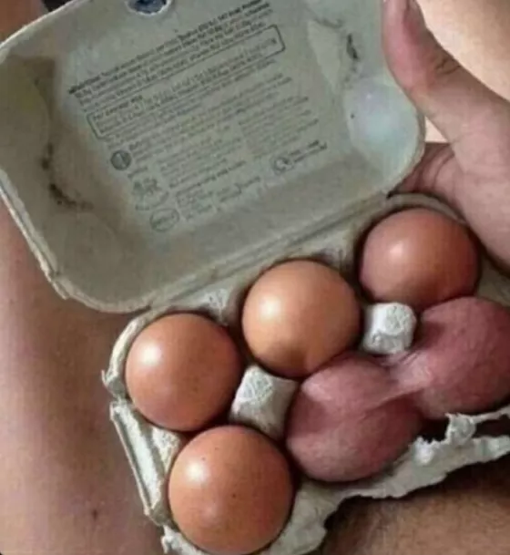 my eggy nuts