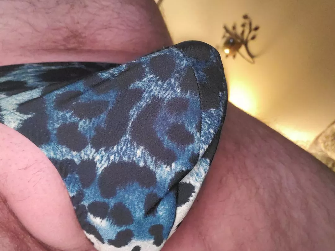 my favorite pair