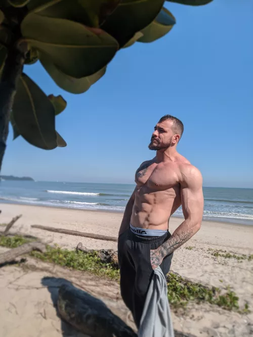 My favorite place! what did you like to do on the Beach? [OC][28]