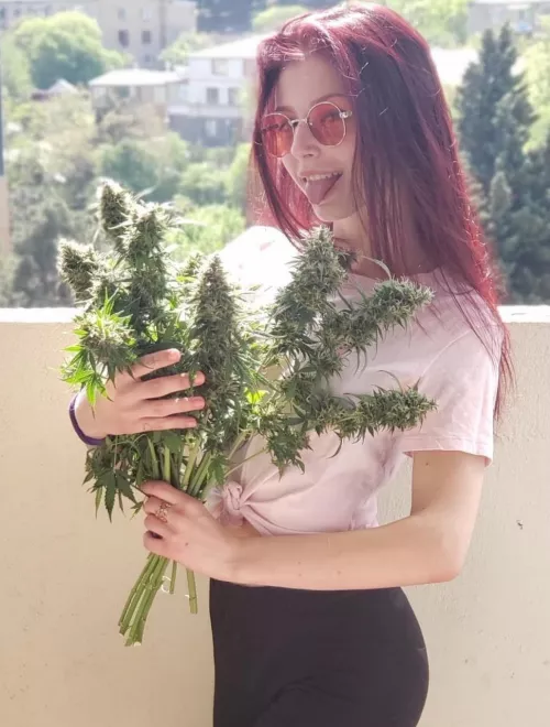 My favourite kind of flowers🤭