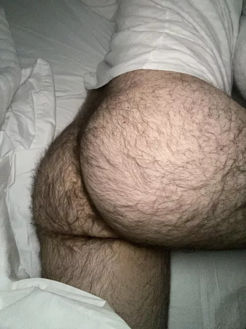 My furry ass