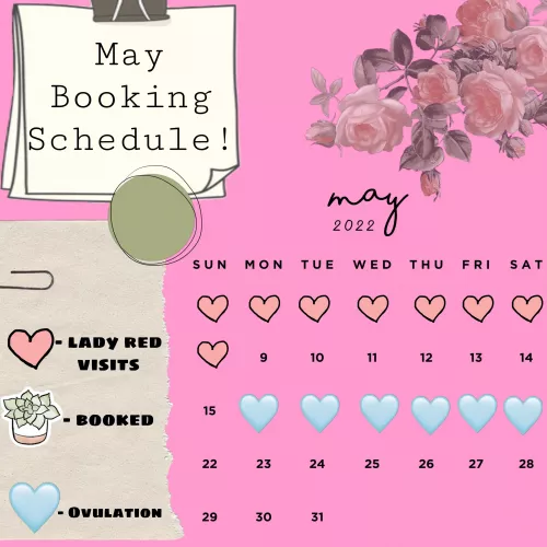 my May booking schedule is open! i’d love to wear something or film something for ya! 👀🥰 I’m [selling] an assortment of items you’re missing out on! kik: mysticmel94 💦🥵