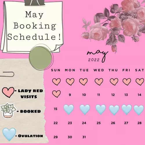 my May booking schedule is open! i’d love to wear something or film something for ya! 👀🥰 I’m [selling] an assortment of items you’re missing out on! kik: mysticmel94 💦🥵