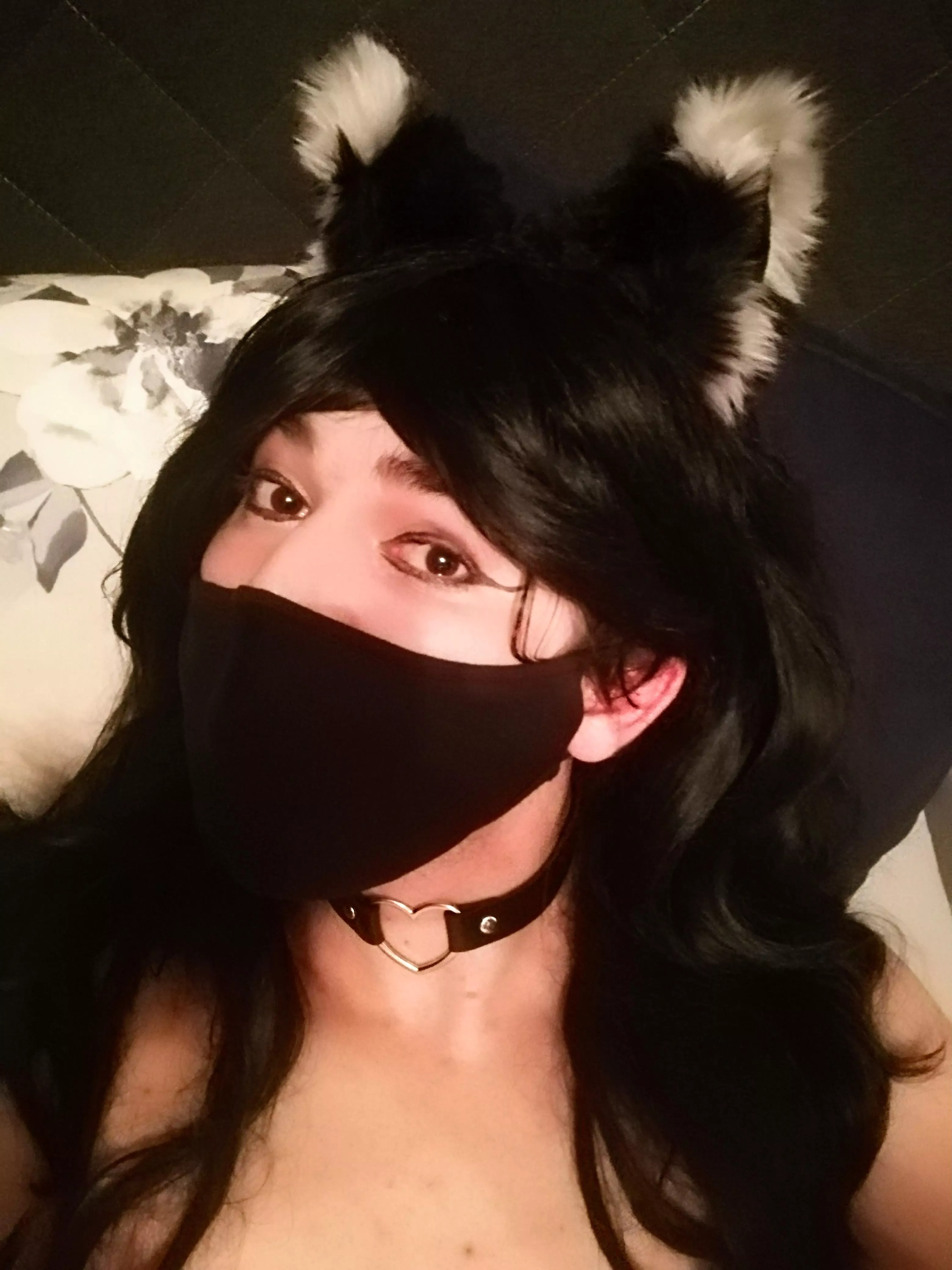 My new collar