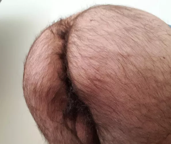my otter ass is ready for you, dm me ;)