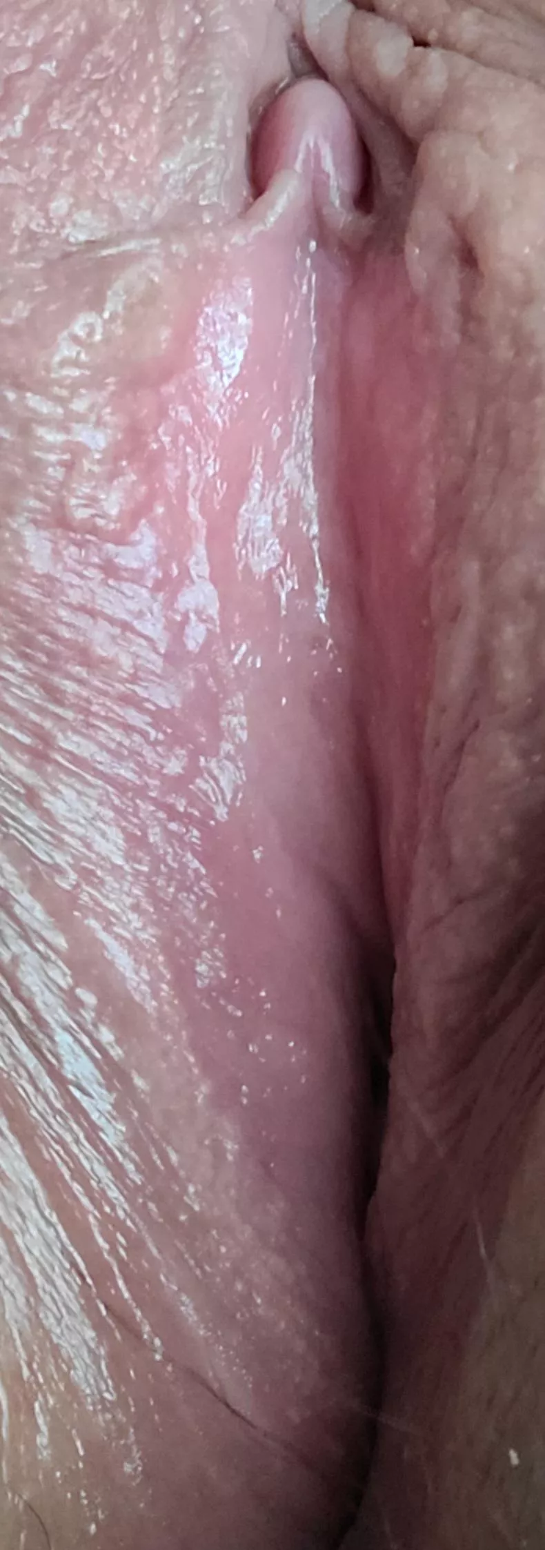 My pink pearl (OC)