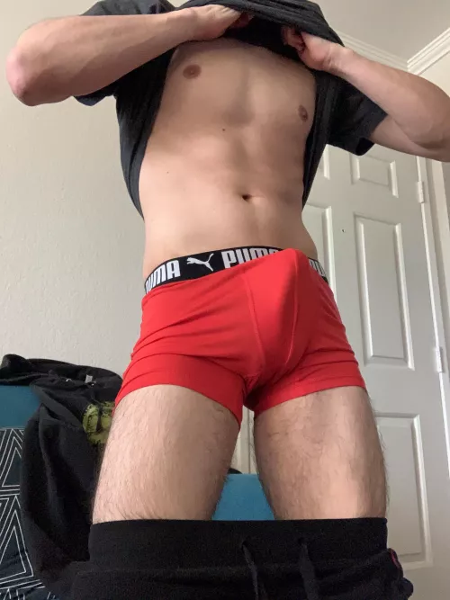 My puma bulge