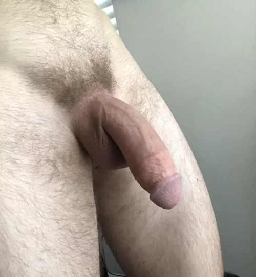 My softie. Hope he’s sufficient