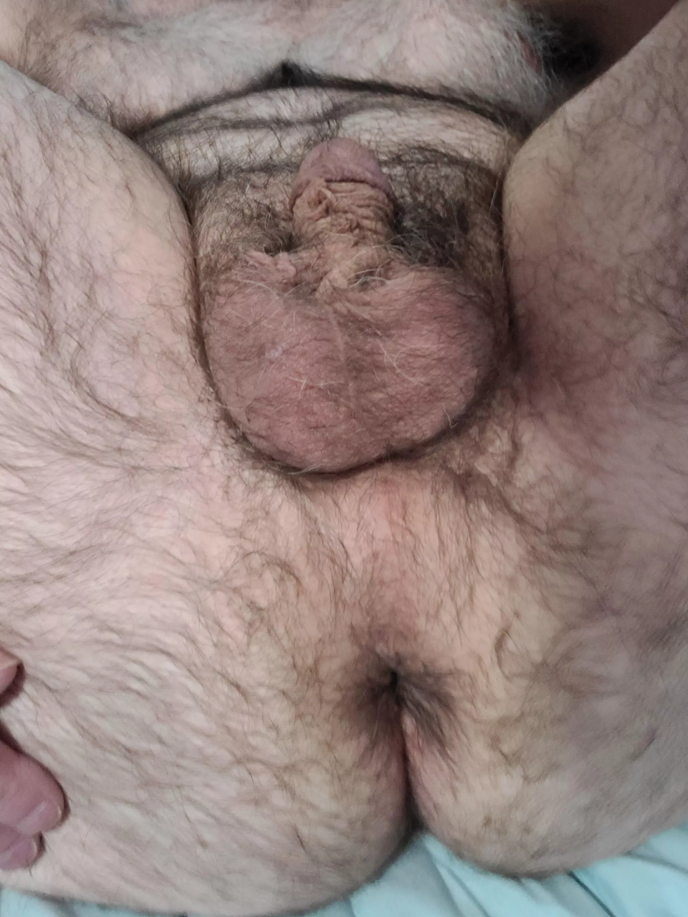 my tight ass