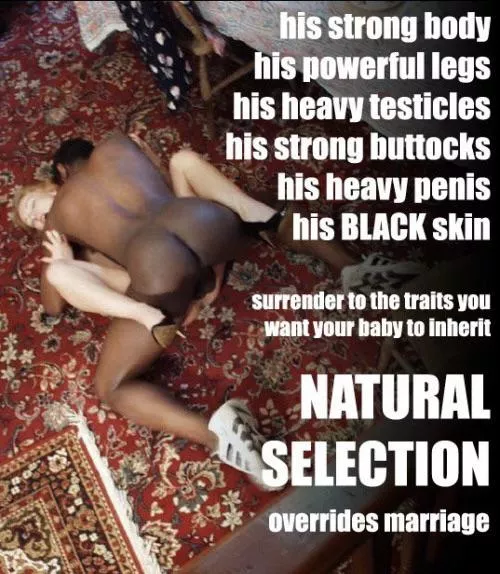 Nature is cruel